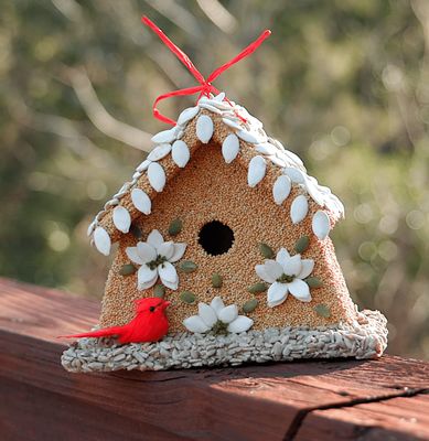Poinsettia Birdhouse