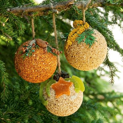 Fruit Seed Ball Ornament