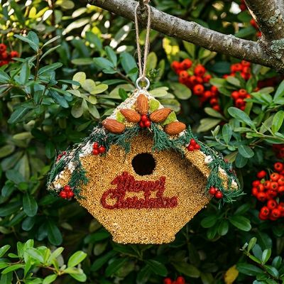 Merry Christmas Bird House