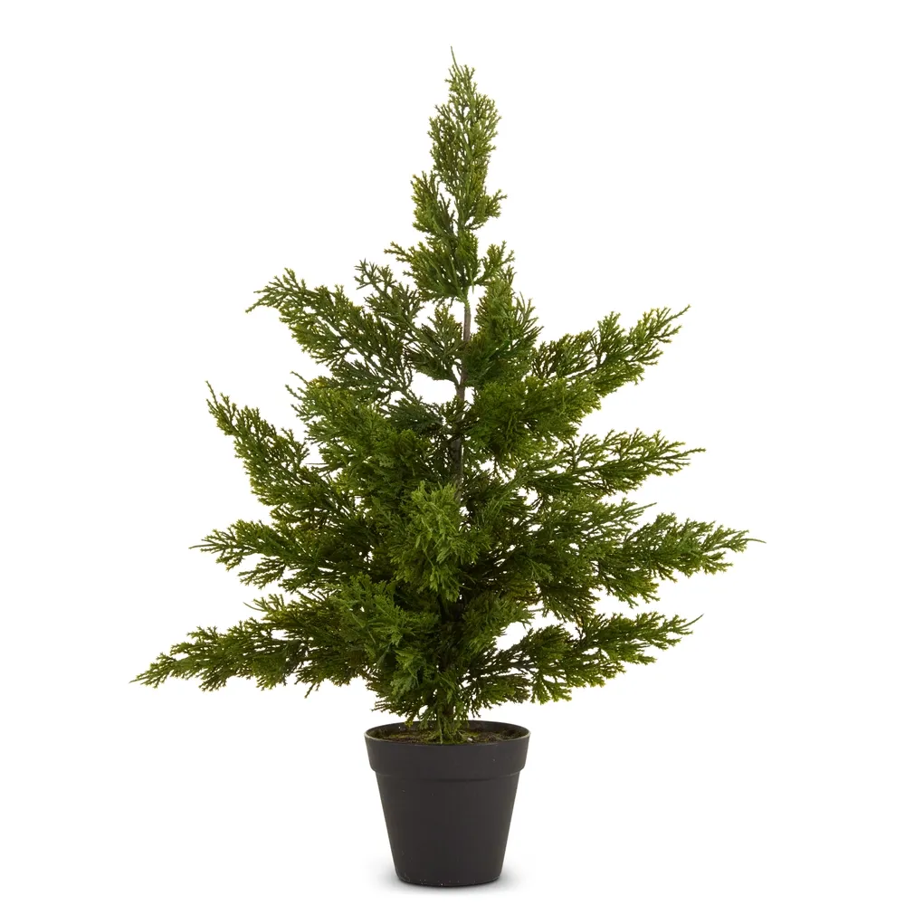 Potted Cedar Tree, Size: 24"