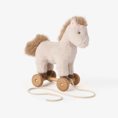 Pony Pull Toy