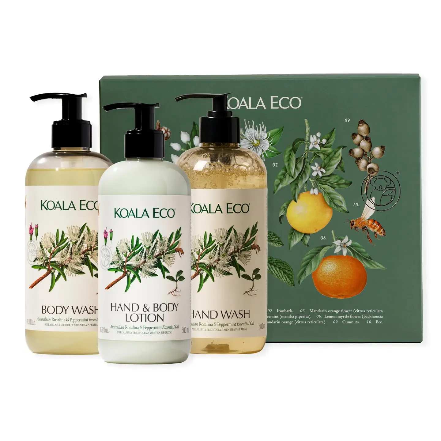 Naturalist Gift Set