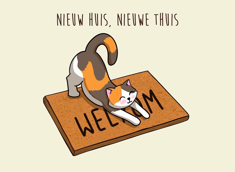 Postkaart Nieuw huis