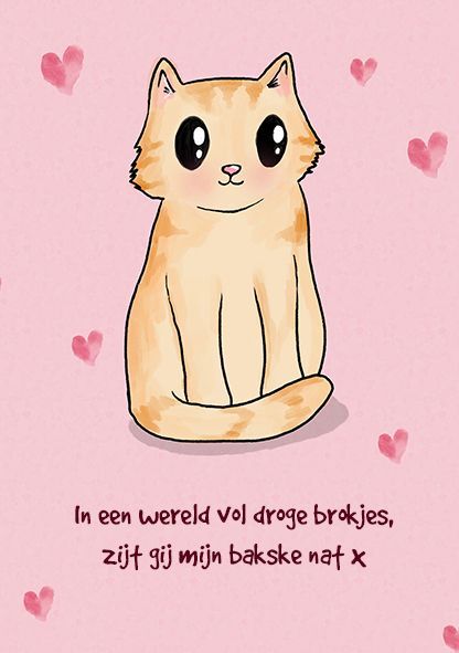Postkaart Bakske nat