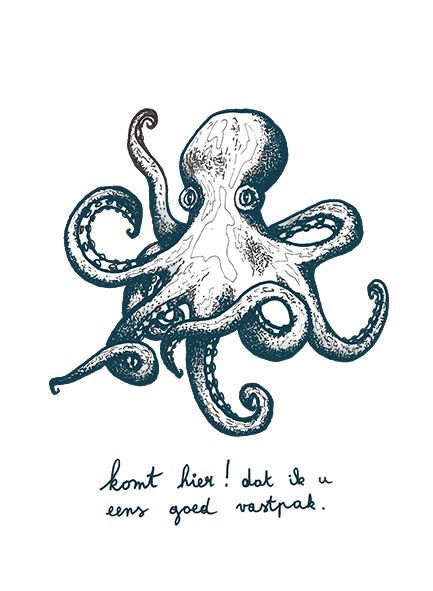 Postkaart Octopus