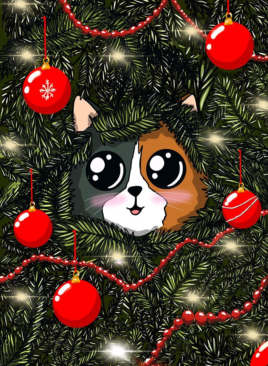 Postkaart Kiekeboe Postkaart Kiekeboe