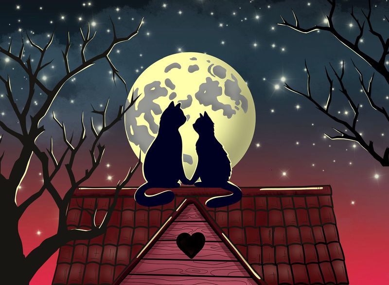 Postkaart Moonshizzle2 Postkaart Moonshizzle2