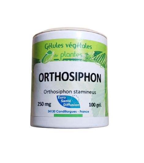 Orthosiphon 100 gélules