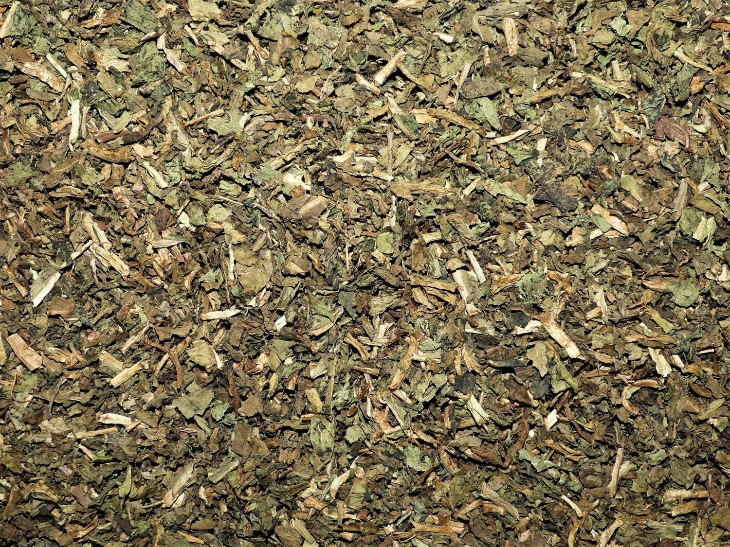 Pissenlit (feuille)