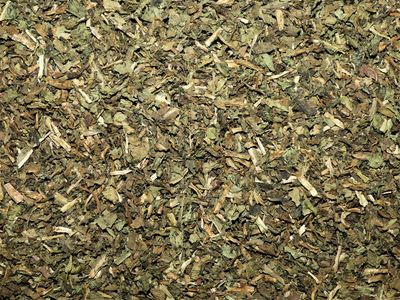 Pissenlit (feuille)