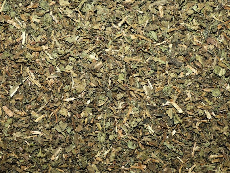 Pissenlit (feuille)