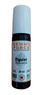 Figuier 30 ml Spray