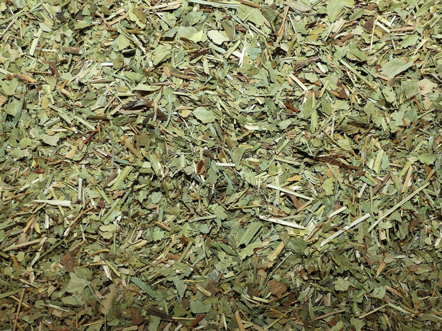ALCHEMILLE (partie aérienne)