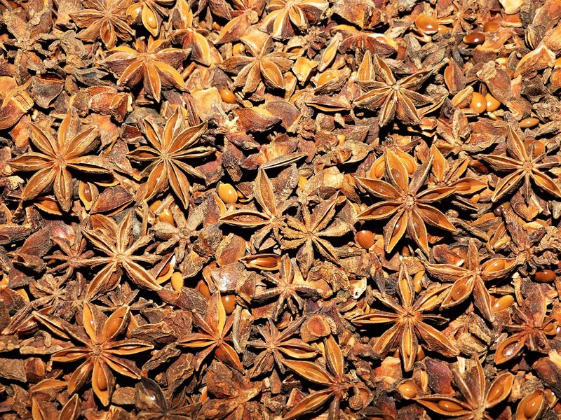 Badianier (fruit)