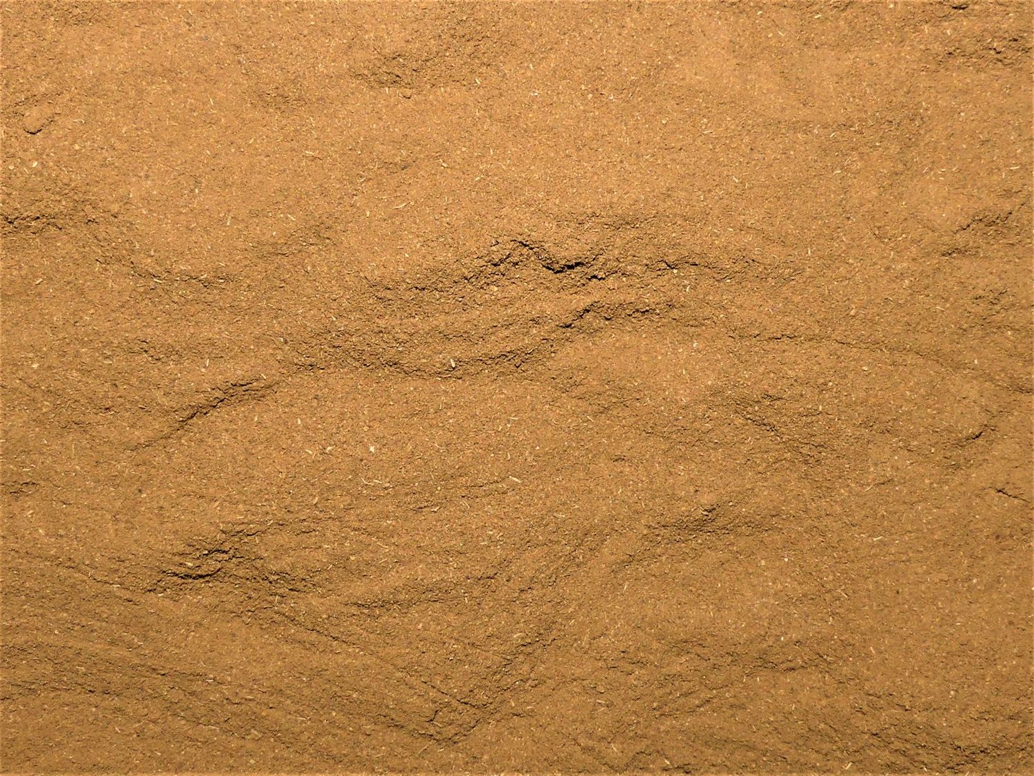 CANNELLE (écorce)