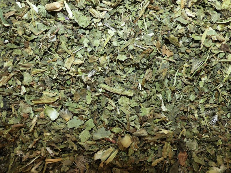 Chardon Marie (partie aérienne)