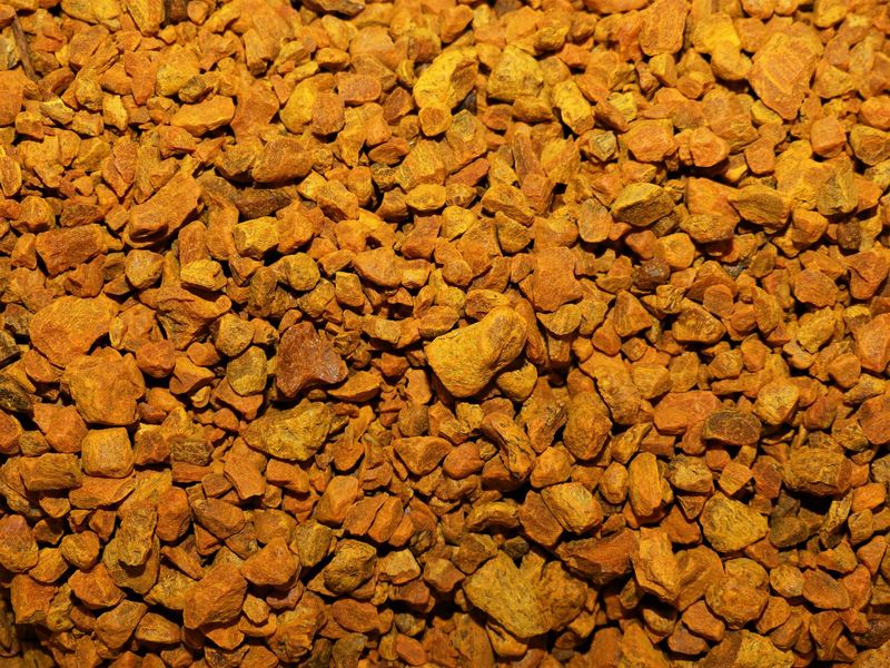 CURCUMA (racine)