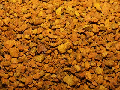 CURCUMA (racine)