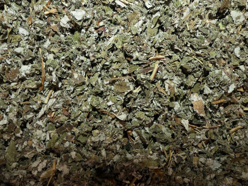 Framboisier (feuille)