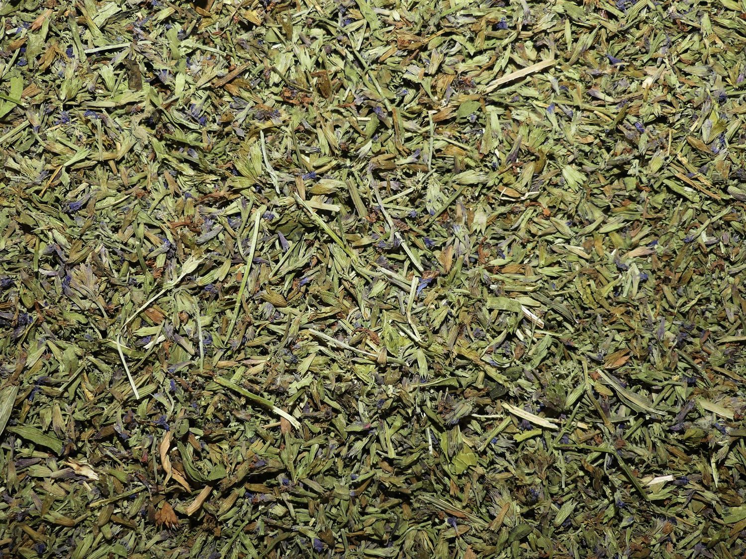 Hysope (feuille)