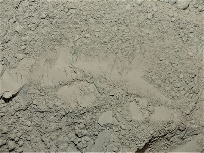 Lithothamne (algue)