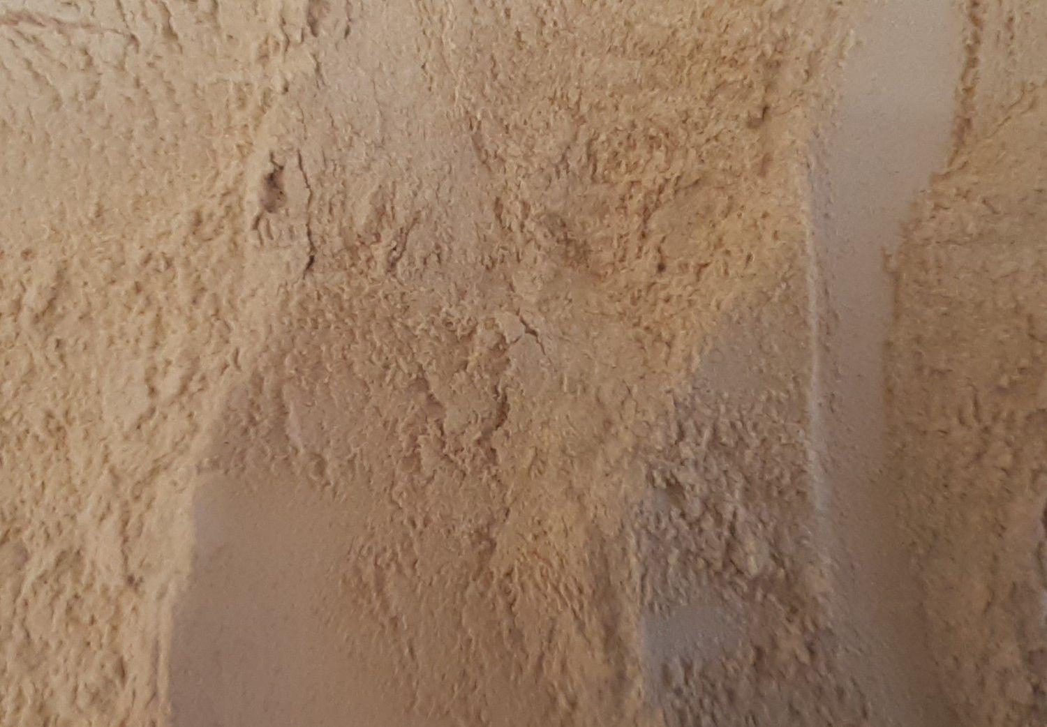 Maca (racine)​​