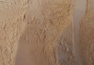 Maca (racine)​​