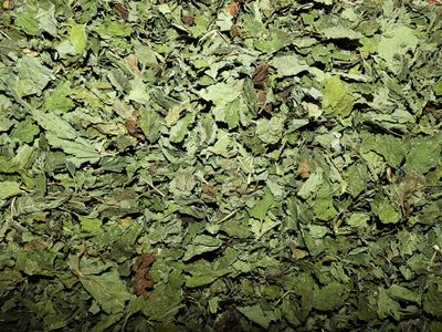 Mélisse (feuille)