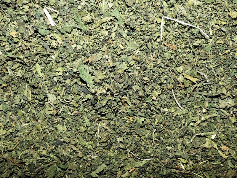 Ortie (feuille)