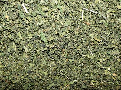 Ortie (feuille)