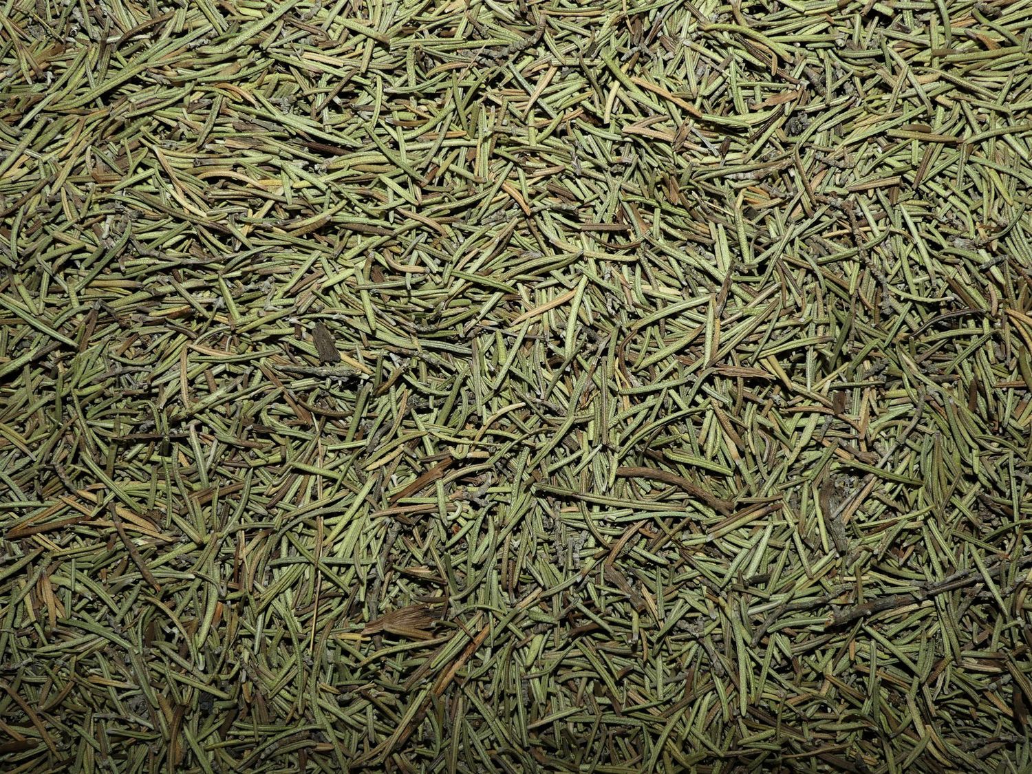 Romarin (feuille)