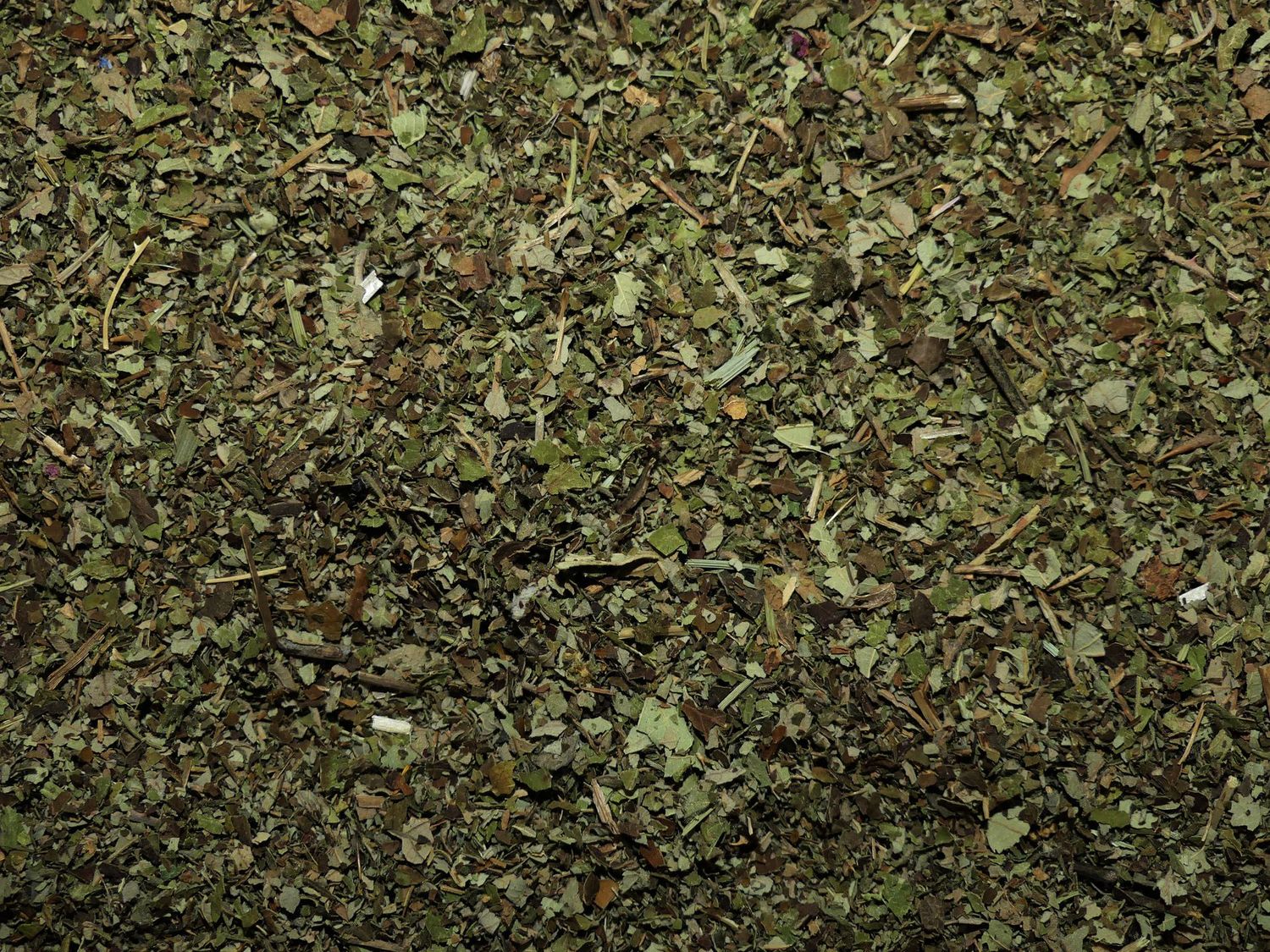 Ronce (feuille)
