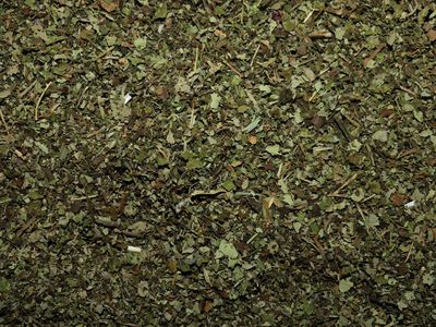 Ronce (feuille)