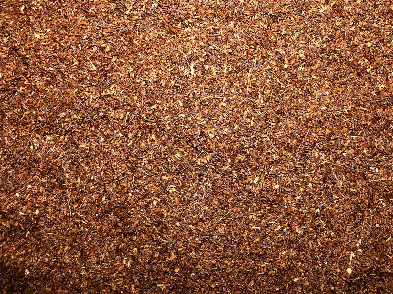Rooibos (partie aérienne)