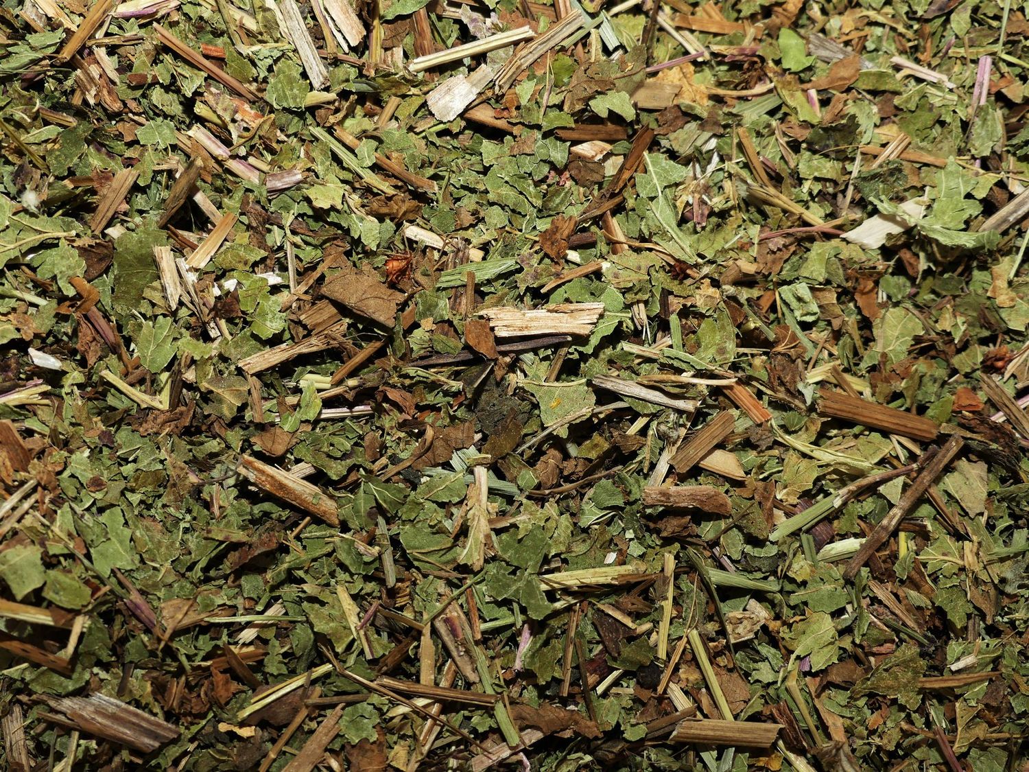 Reine des prés (sommité fleurie)