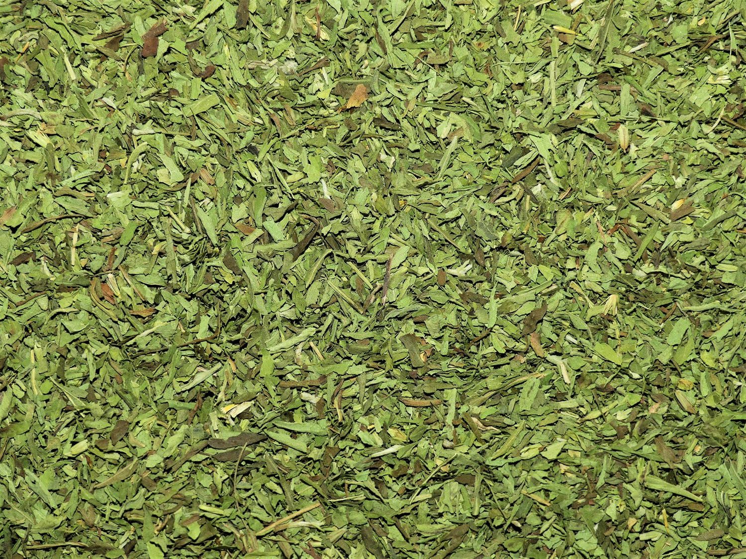 Stevia Bio (feuille)