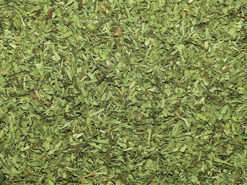 Stevia Bio (feuille)