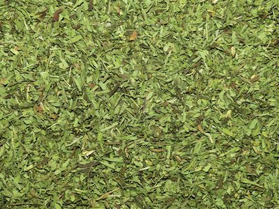 Stevia Bio (feuille)