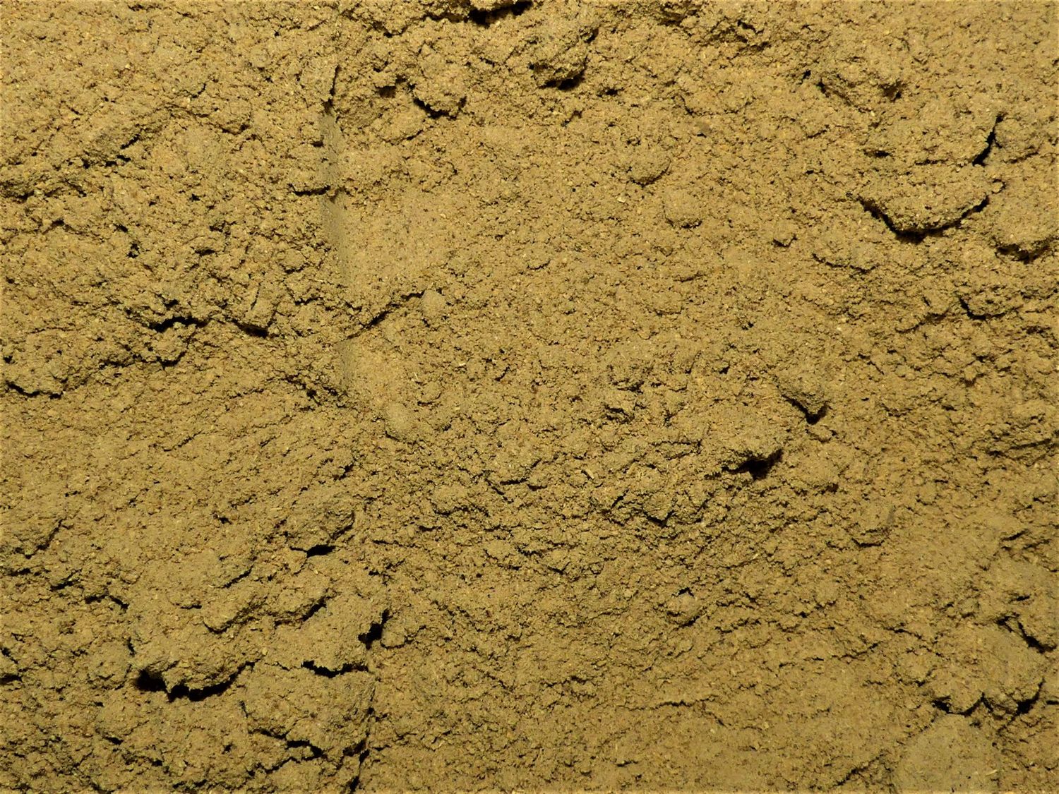 Tribulus (fruit)