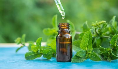 Phytospagyrie & Extraits liquides