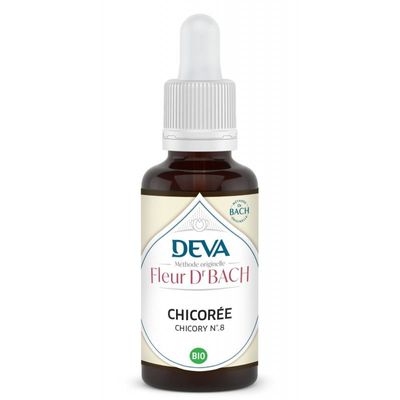 Chicorée - Chicory N°8 Bio 30 ML