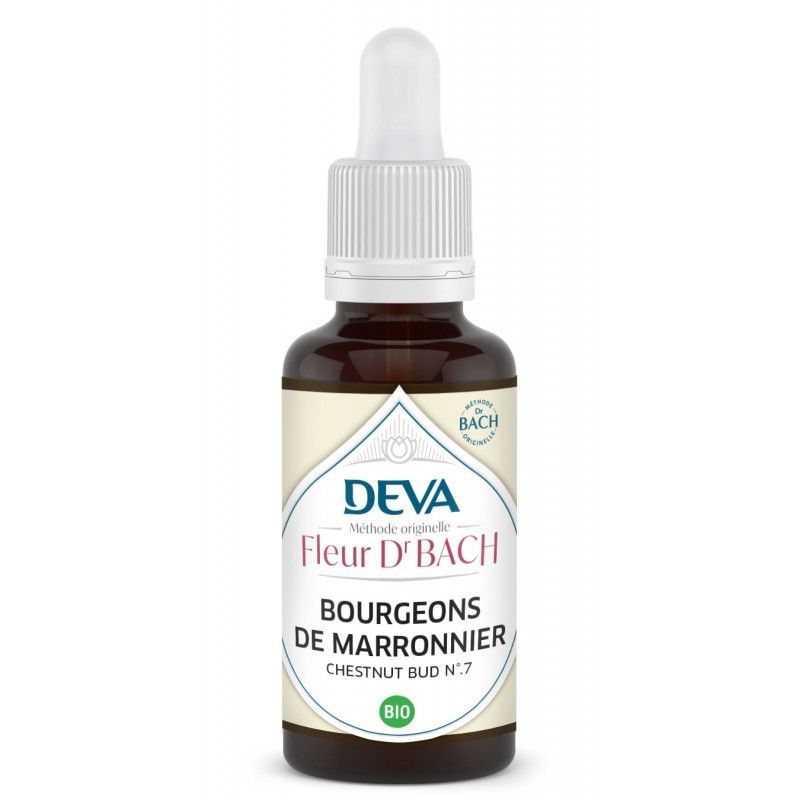 Bourgeons De Marronnier - Chestnut Bud N°7 Bio 30 ML