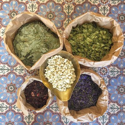Sélection de plantes en vrac, tisanes, thés, poudres végétales et plantes ayurvédiques de qualité herboristerie.
