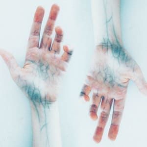 Circulation