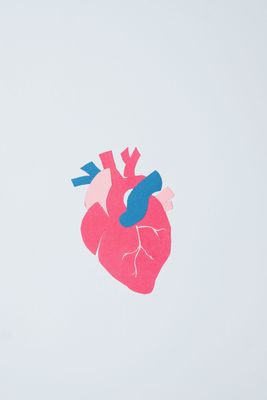 Équilibre métabolique & cardiovasculaire