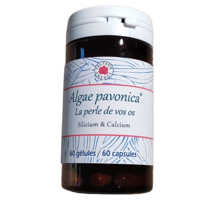 Padina Pavonica 60 gélules Padina pavonica 60 gelules complement alimentaire algue brune calcium silicium magnesium