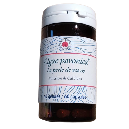 Padina pavonica 60 gelules complement alimentaire algue brune calcium silicium magnesium
