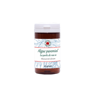 Algae Pavonica – Padina Pavonica – 60 gélules Algae Pavonica Padina Pavonica Vecteur Energy – Flacon 60 gélules végétales de 500 mg à base d'algue marine