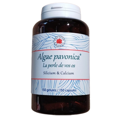 Padina Pavonica 150 gélules Padina pavonica 150 gelules complement alimentaire algue brune calcium silicium magnesium