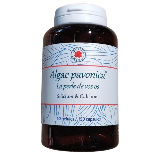 Padina pavonica 150 gelules complement alimentaire algue brune calcium silicium magnesium